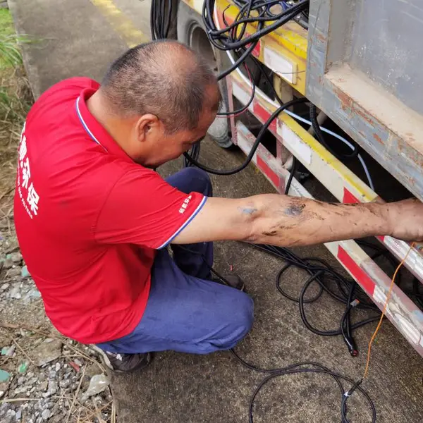 Maintenance-free exhaust gas purifier