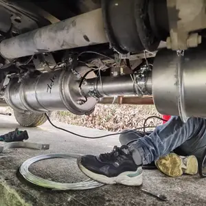 Emission-Compliant Exhaust Gas Purifier